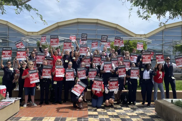 APFA Ready To Strike Photo