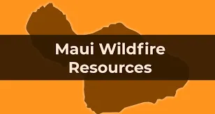 maui wildfire resources