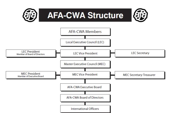 AFA Structure