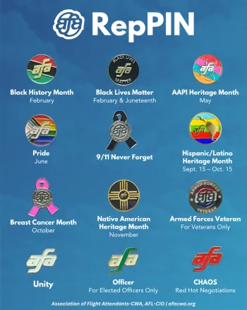 AFA Pin Poster